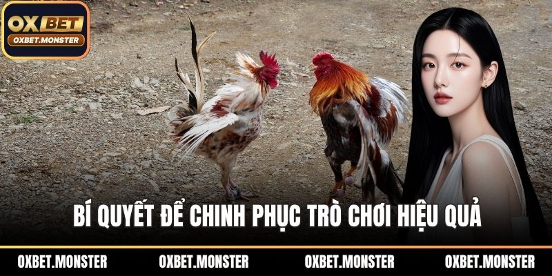 Đá Gà Oxbet – Sân Chơi Thời Thượng Của Tín Đồ Đá Gà 2026 3 Bí quyết để chinh phục trò chơi hiệu quả