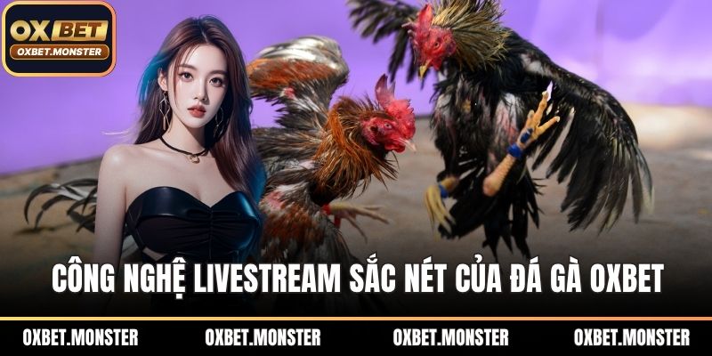 Đá Gà Oxbet – Sân Chơi Thời Thượng Của Tín Đồ Đá Gà 2026 1 Công nghệ livestream sắc nét của đá gà OXBET