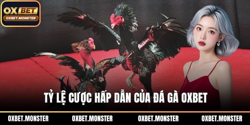 Đá Gà Oxbet – Sân Chơi Thời Thượng Của Tín Đồ Đá Gà 2026 2 Tỷ lệ cược hấp dẫn của đá gà OXBET